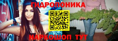jwh Нальчик
