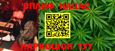 jwh Нальчик